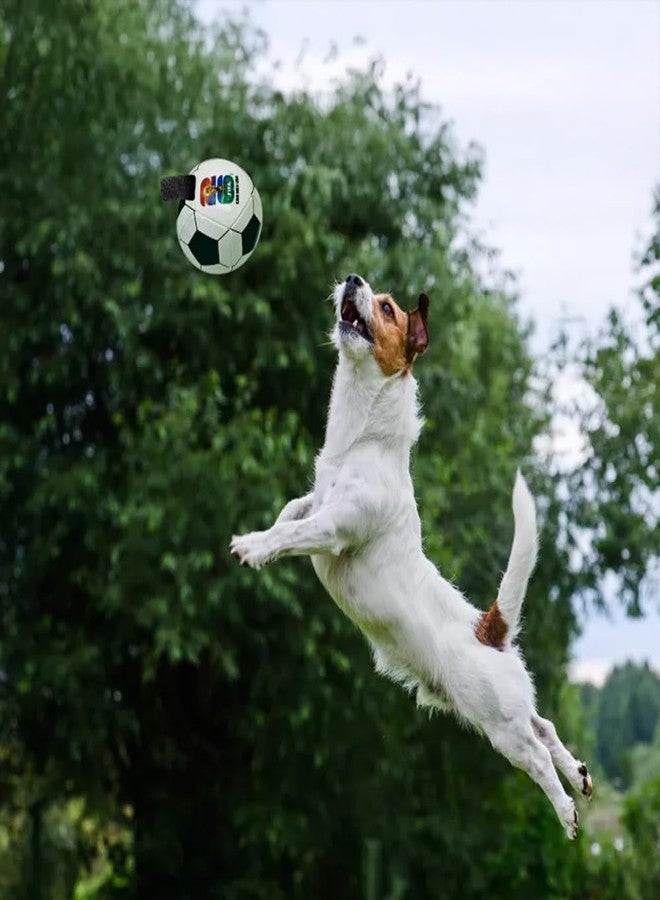 Littlearth Pet Soccer Ball Toy – Officially Licensed FIFA World Cup 2026 - Image 3